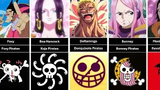 One Piece Pirate Crews & Their Captains
