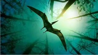 Pterosaurs: Dominators of the Mesozoic Sky | Where did they come from?