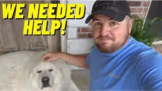 Preparing For The Worst Guard Dog Knows This Could Be Bad! Bluetti To The Rescue!