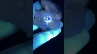ФЛЮОРИТ, флуоресценция и фосфоресценция