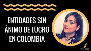 ENTIDADES SIN ÁNIMO DE LUCRO