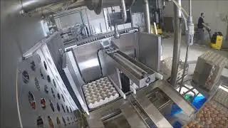 MOBA PELBO SYNCHRO 200 HIGH EFFICIENCY EGG BREAKING SEPARATING  SYSTEM 72.000 egg/h