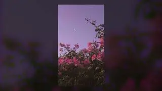 [FREE FOR PROFIT] Juice WRLD x Nick Mira Chill Type Beat - 