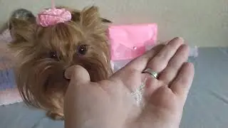 Glambag #8 (август)! Распаковка коробочки=)))