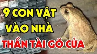 9 Con Vật Này Đột Nhiên Vào Nhà Chứng Tỏ Bạn Sắp Giàu To, Thần Tài Cho Lộc, Đừng Dại Xua Đuổi