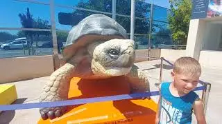 oceanografic valencia