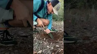 Раскопки / что же я нашел на этот раз ?