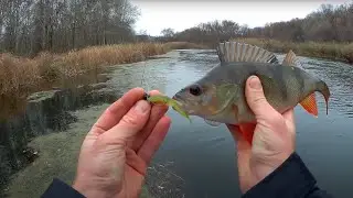 Fishing for large perch in the fall from a boat on a light