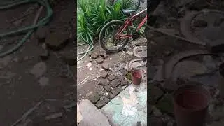 Ditempat umum bugil, begituan lagi. Nggak tahu malu!