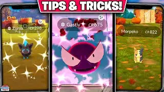 Top Tips for Pokémon GO Halloween Part 1: 2x Catch Candy, Shiny Zorua & More!