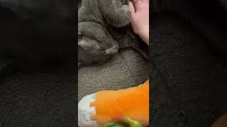 Bro is eepy af