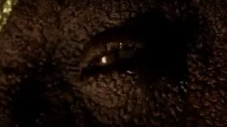 CGI 