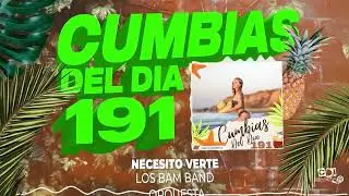 CUMBIAS DEL DÍA 191 Para Bailar Toda La Noche | Enganchados 2022 del Recuerdo y más