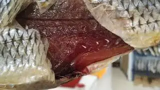 Кутум кутумыч в Кизилюрте