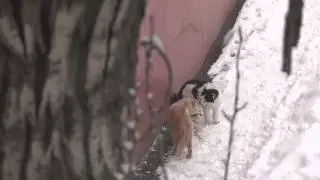Дела мужские, далекие от грядок.