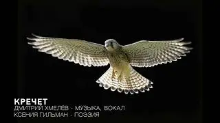 Кречет - Дмитрий Хмелёв