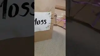Лето 2023!Самый оригинальный подарок от близких!❤