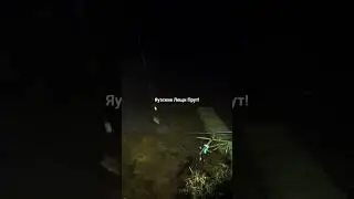 Яузские Лещи !
