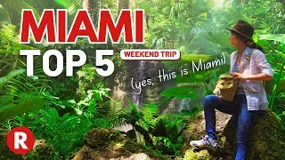Best Things To Do in Miami 2023 in 3 DAYS!!! (and it's NOT South Beach) // Travel Guide