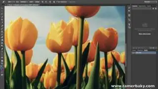 الدرس الثلاثون اداة Pen Tool  والقوائم المرتبطة بها Adobe Photoshop CC 2015