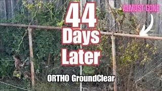 Ortho GroundClear: An Update