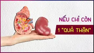 Chuyện Gì Sẽ Xảy Ra Nếu Chỉ Còn MỘT QUẢ THẬN?
