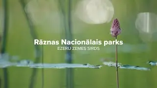 Rāzna National Park – HEART OF THE LAKELAND