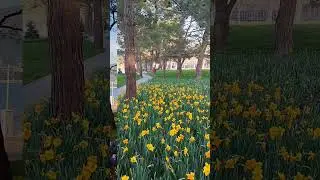 Геленджик 19.03.2024 Толстый мыс. Набережная #геленджик #толстыймыс