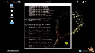 Kali Linux tools- Admin.py