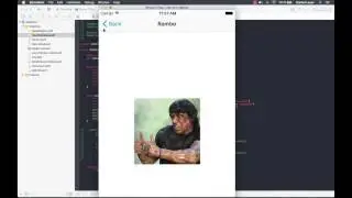 50. TableView Multiple Sections (iOS Application Development with Swift 3.0)