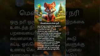 மென்மையான நரி 🦊