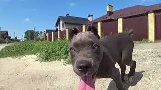 Тусень на поселке