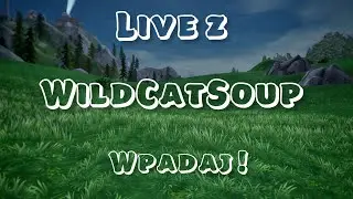 WildCatSoup – transmisja na żywo