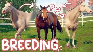 Breeding IDENTICAL Horses | Rival Stars Horse Racing