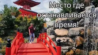 Прогулка по Японии в Краснодаре  Много кофе, релакса и умиротворения