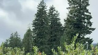 #roadtrip