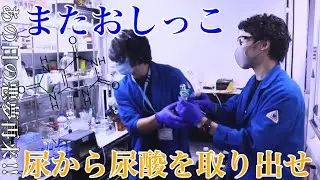 【やっぱり錬金術師は偉大】おしっこから尿酸を取り出しました【路線変更】