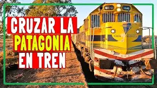 Todo ARGENTINO debería CONOCER este tren🚂: TREN PATAGÓNICO