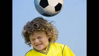 VMP Journal Club Expert Answers: Concussions