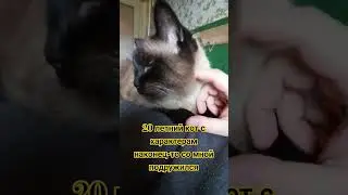 Наконец-то он меня принял♥️ 20 летний кот с жёстким характерам