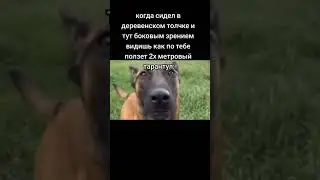 #тарантул #паук #страшно #деревенскийтуалет #ночь