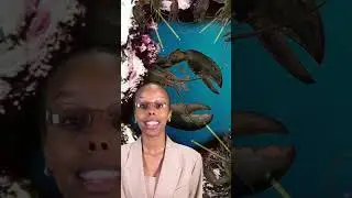 Why do lobsters pee out of their faces? 🦞