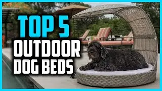 ✅Top 5 Best Outdoor Dog Beds 2024 Reviews