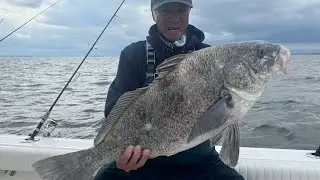 Gen Wongs First Black Drum. Epic fight. Gen gets wrecked 🤣🤣🤣 These fish can rip. Welcome to the salt