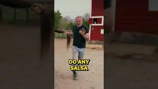 Horse Chiropractic Can Get a bit WEIRD 🤣🐴 Rescue Horse Gets Stiff Body Moving!