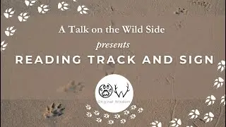 Reading Track & Sign | Learn to Read the Stories Left Behind by Wildlife