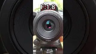 Canon 18 to 55 mm kit lens verses 50 mm f:1.8 aperture opening test 