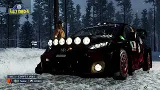 EA SPORTS WRC - ⛄WINTER❄️RALLY 🇸🇪 🇲🇨 (WITH RUSSIAN CODRIVER)