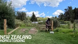 one piece of the puzzle at a time on our New Zealand homestead (vlog)