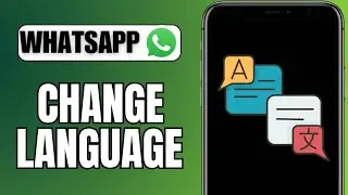 How to Change Your WhatsApp Language (Android & iOS)